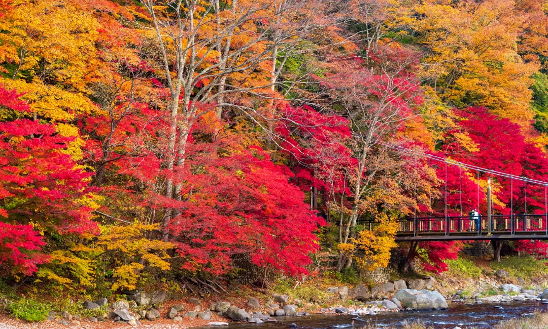 紅の吊橋