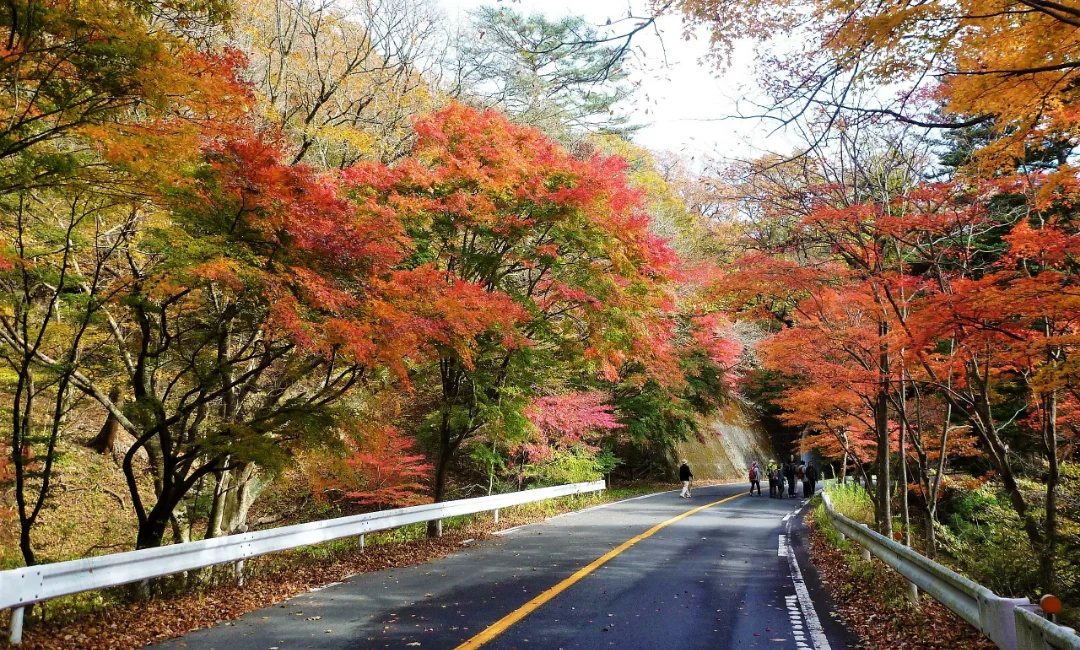 大正浪漫街道