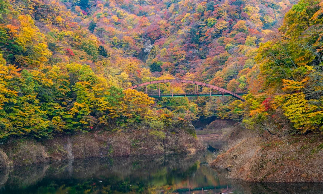 もみじ谷大吊橋